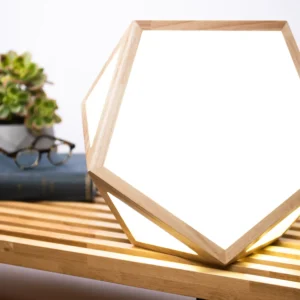 The sunlight therapy lamp from the Library of Things