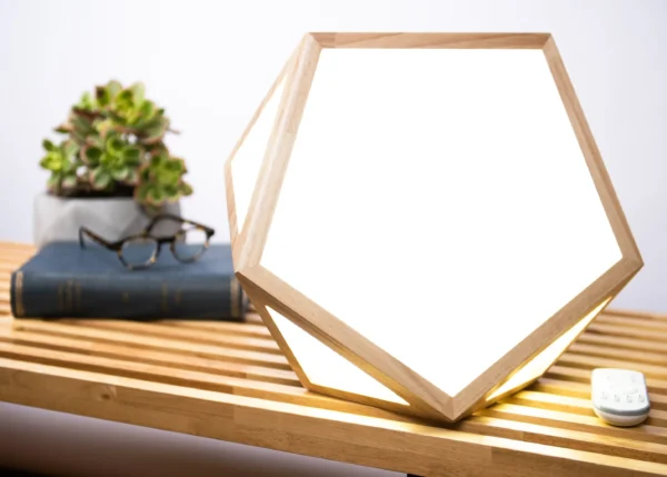 The sunlight therapy lamp from the Library of Things